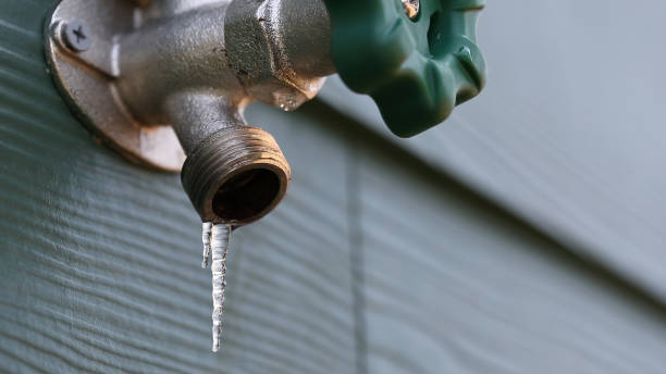 Best Septic Systems  in Pine Ridge, FL